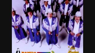 Banda Machos  Cumbia Torera [upl. by Standley]