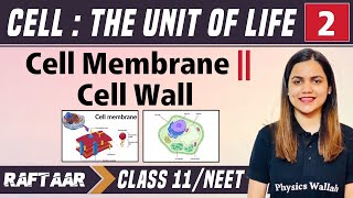 Cell  The Unit of Life 02  Cell Membrane  Cell Wall  Class 11NEET  RAFTAAR [upl. by Stryker]