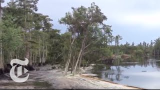 Sinkhole in Louisiana Swallows Trees  Caught on Tape 2013  The New York Times [upl. by Zacharias]