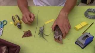 How to attach Tillandsias Planta Brutt Video 14 [upl. by Kcerb82]