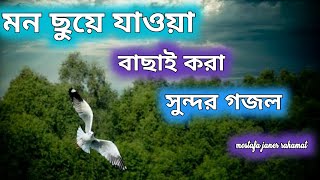 মন ছুয়ে যাওয়া বাছাই করা সুন্দর গজল islamic gojol mostafa janer rahamat [upl. by Harlen388]