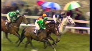 1989 Tote Cheltenham Gold Cup Chase [upl. by Leba]