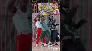 DWP Academy new video dance musicanddance dancer musicdance afrodance amapianodance [upl. by Aikaj]