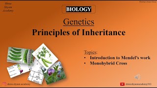 Monohybrid Cross  Principles of Inheritance  genetics  biology  Class 12th [upl. by Erret71]