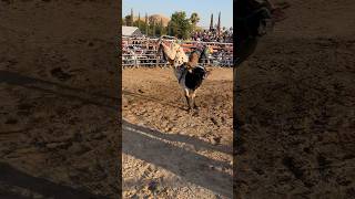 LA GRINGA DE CHIVERIAS VS NIVEL DE GALLERO DE RANCHO EL AGUAJE toros jaripeo cowboys rodeo toro [upl. by Igenia]