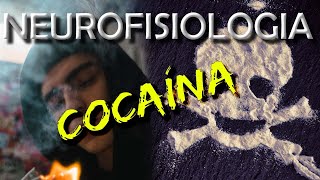 Efeitos da Cocaína no Organismo [upl. by Nolly648]