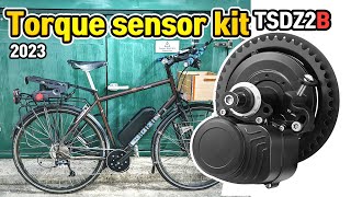 TSDZ2B New Cheap Electric Bike Torque Sensor Central Drive Motor Kit Tongsheng 2023 Reviews [upl. by Nessa932]