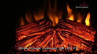 Royal Flame DIORAMIC 28 LED FX [upl. by Poock]