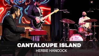 Cantaloupe Island Herbie Hancock [upl. by Lula]