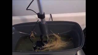 MiracleGro AeroGarden Bounty  Cleaning amp Sanitizing [upl. by Wesla]