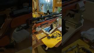 25m benchrest shooting air arms hft500 [upl. by Ana]