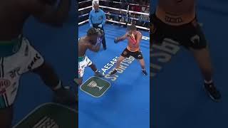 When a Boxer Refused to Knock Out His Opponent boxing lomachenko [upl. by Yenitsed218]