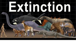 Top 100 extinct Animals Facing Extinction in 2024  Extinct [upl. by Audrey]