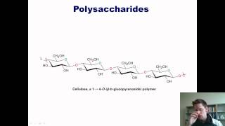 Chapter 22 – Carbohydrate Chemistry Part 3 of 3 [upl. by Highams962]