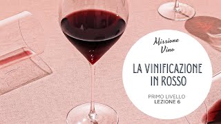 Lezione 6 Come si fa il vino rosso  La vinificazione in rosso [upl. by Enomaj891]