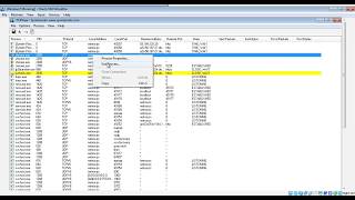 TCPView program to view local and remote addresses connections and ports [upl. by Etienne]