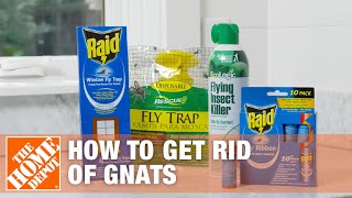 How to Get Rid of Gnats  DIY Pest Control  The Home Depot [upl. by Yusuk]