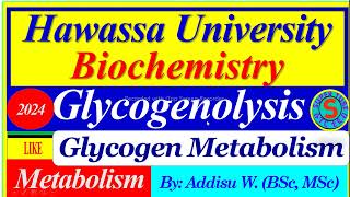 Glycogenolysis Glycogen Breakdown  Metabolism metabolism biochemistry glycogenesis glycolysis [upl. by Immot]