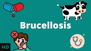 Brucellosis Causes Signs and Symptoms Diagnosis and Treatment [upl. by Ajaj822]