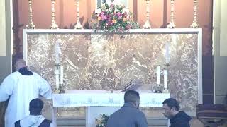 St Anthony of Padua Edgware  Live Stream [upl. by Jamison]