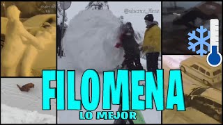 Filomena La mejor recopilación [upl. by Gnem]