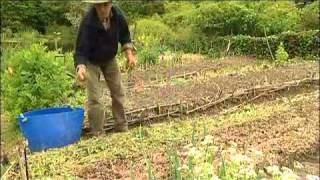 Jardin du MaraisYves Gillen jardinage sans travail du sol Sous titre en Français [upl. by Odom]