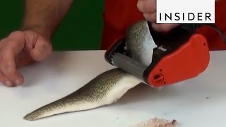 Easy Fish Skinner Tool [upl. by Orvan]