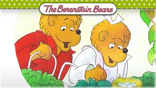 Real Easter Eggs 🐰 The Berenstain Bears Official [upl. by Carri800]