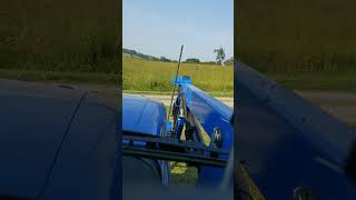 Mowing Hay New Holland workmaster 75 random thoughts [upl. by Immac]