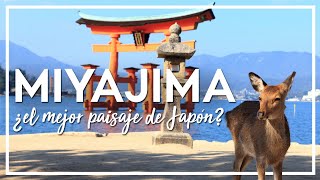 MIYAJIMA JAPON ⛩️ Itsukushima🦌 que ver en Miyajima island Japan  Viajar a Japon [upl. by Jamilla]