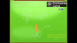 Proteínas Estructura primaria [upl. by Pantia211]