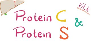 Protein C and Protein S  Inhibitors of coagulation  Protein C Deficiency Protein S Deficiency [upl. by Johnette]