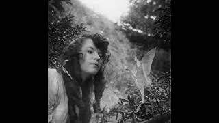 Cottingley Faeries Photos cottingleyfaeries faeries shorts [upl. by Ycal155]