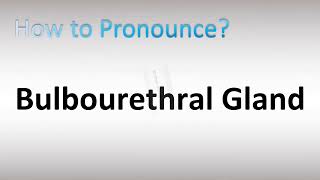 How to Pronounce Bulbourethral Gland [upl. by Atselec940]