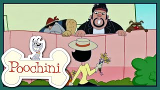 Poochini  épisode 11  Une vie de cauchemars [upl. by Aldridge660]