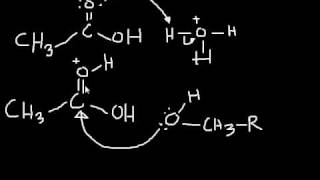 Esterification Mechanism making an ester from a carboxylic acid and an alcohol [upl. by Kikelia18]