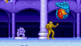 Altered Beast Sega Mega Drive 5  Stage 4  WereTiger [upl. by Cassella183]