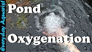 How To Aerate amp Oxygenate Your Pond [upl. by Jessabell]