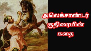 அலெக்சாண்டர் குதிரையின் கதைstory of Alexander horse bucephalus in tamilTrendy Tamili [upl. by Eyram]