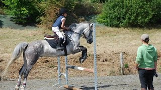 Horse Solution  Zoé passe sa pratique du Galop 3  sauts dobstacles et reprise de dressage [upl. by Isak]