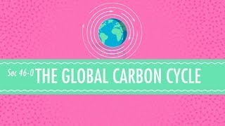 The Global Carbon Cycle Crash Course Chemistry 46 [upl. by Iong]