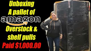 Unboxing a 100000 Pallet of Amazon Overstock and Shelf Pulls  I never know what I will Get [upl. by Lovato]