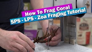 How To Frag Coral  SPS LPS Zoas Fragging at the LFS [upl. by Areval]