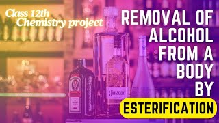 Removal of alcohol from a body by esterification  class 12 chemistry investigatory project [upl. by Porush]