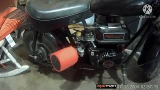 Mini bike Top Speed Run  Built Stage 2 Predator 212 [upl. by Yvonne]