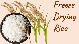 Freeze Dried Rice [upl. by Mellette]