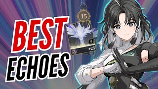 FASTEST WAY TO GET BEST ECHOES  WUTHERING WAVES GUIDE [upl. by Ott]