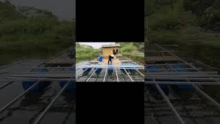 Building A Movable Boathouse On A Lake In The Rain Boathouse Build [upl. by Wilcox]