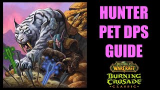 WOW TBC Classic Hunter PET DPS GUIDE Pet Talents Abilities Buffs and LOTS MORE [upl. by Nirek301]