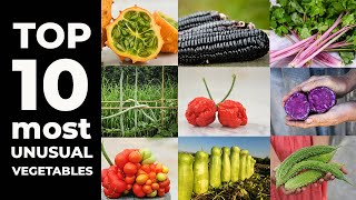 TOP 10 Most Unusual Vegetables [upl. by Neelrac]